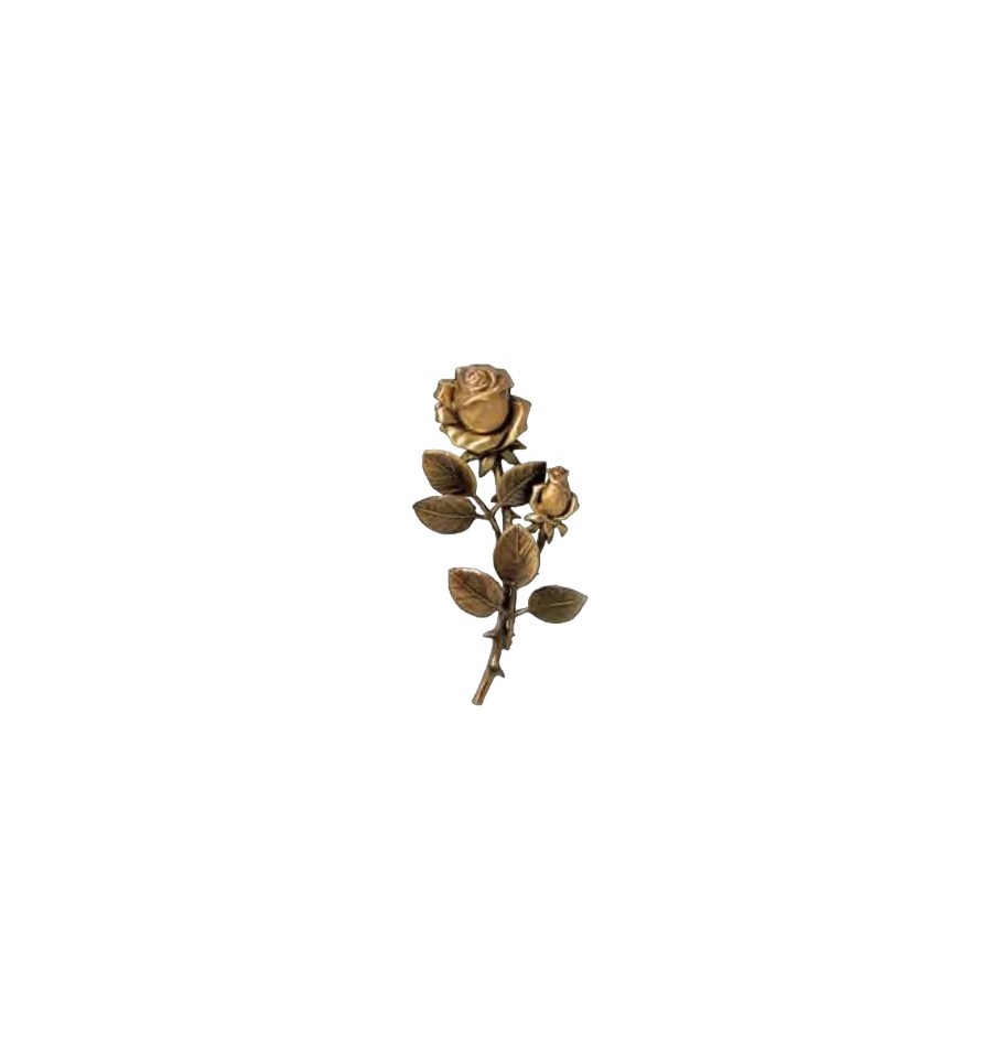Róża CAGGIATI 29 369 L 18cm